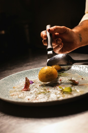 Λεπτομέρεια από πιάτο fine dining με μυρωδικά και σάλτσα, σερβίρισμα OLIVA